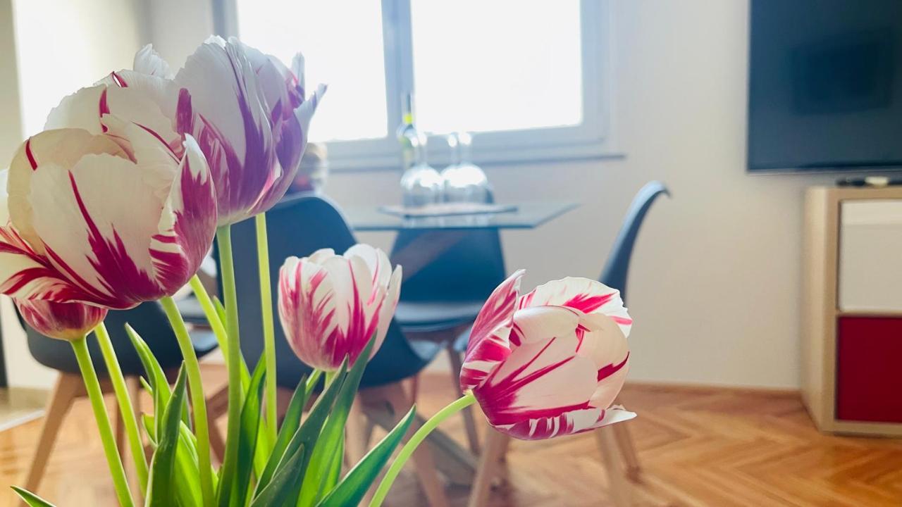 Apartment Iva Rijeka Extérieur photo